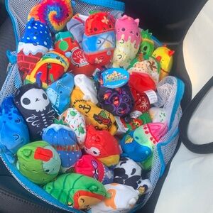 Assorted cat vs pickles  - Cute Collectible Soft Toys ( lot of 32 )